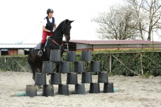 Preparazione Salto ostacoli